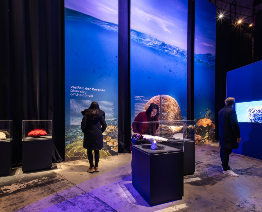 Besucher in der Begleitausstellung zu "Great Barrier Reef" im Panometer Dresden