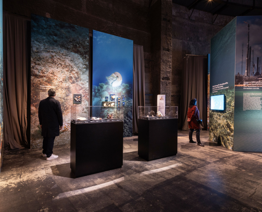 Blick in die Begleitausstellung zu "Great Barrier Reef" im Panometer Dresden