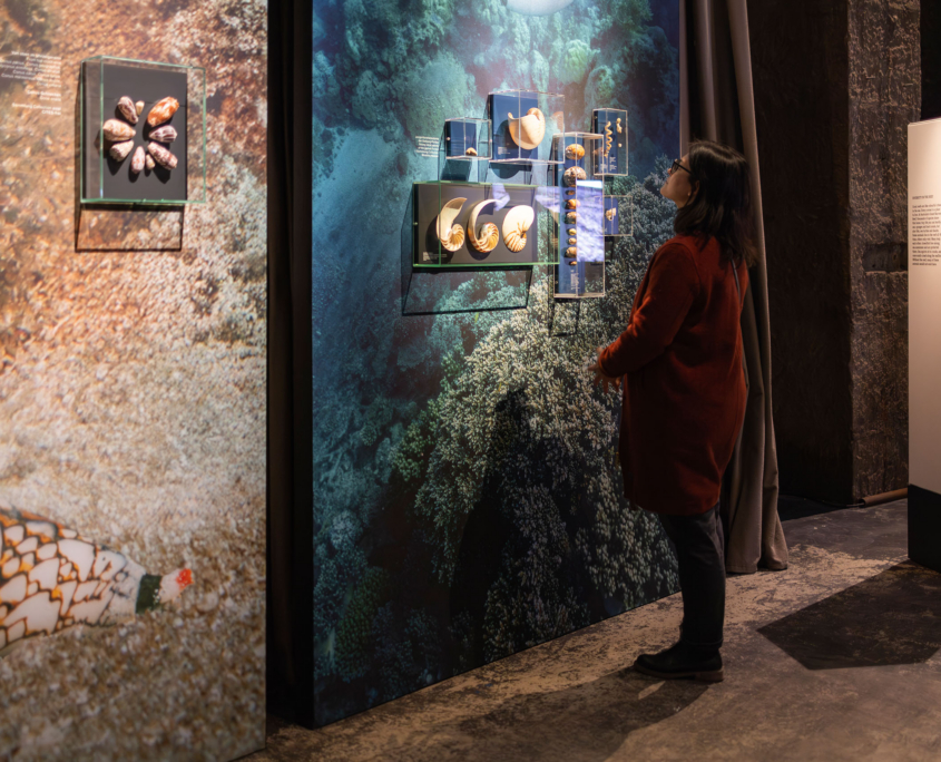 Begleitausstellung zu "Great Barrier Reef" im Panometer Dresden