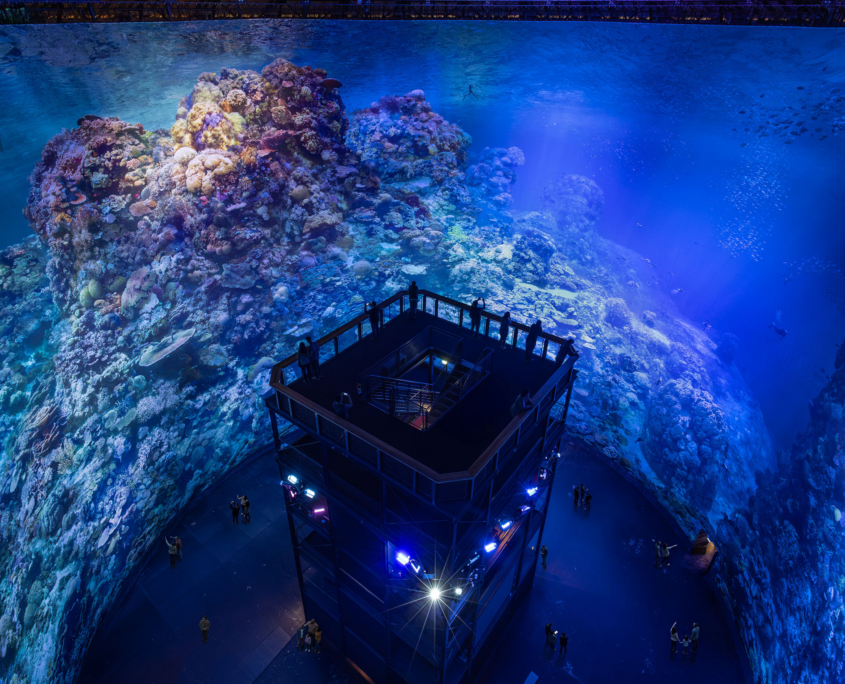 Blick auf das Unterwasser-Panorama "Great Barrier Reef" mit der Aussichtsplattform im Panometer Dresden.